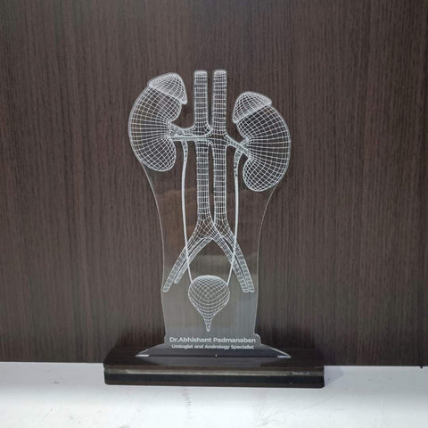 LED Acrylic Urologist Desk Lamp - Gift For Doctors