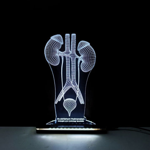 LED Acrylic Urologist Desk Lamp - Gift For Doctors