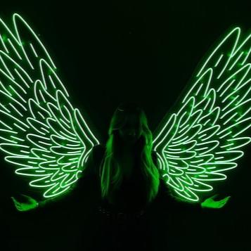 Neon wings